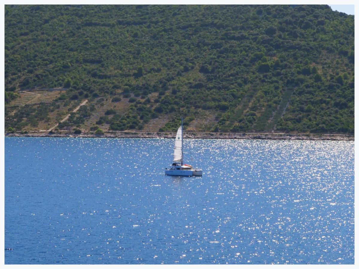 The Peninsula Apartman Primošten Kültér fotó