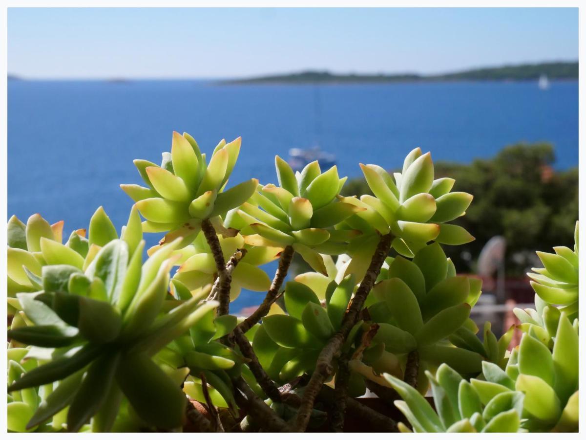 The Peninsula Apartman Primošten Kültér fotó